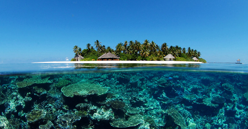 plongée sous marine Maldives